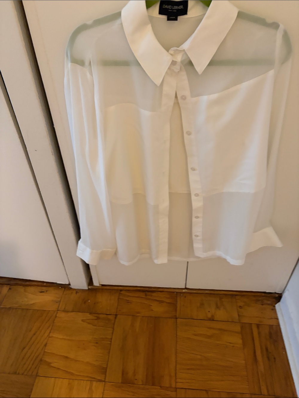 David Lerner Sheer White Button Front Blouse